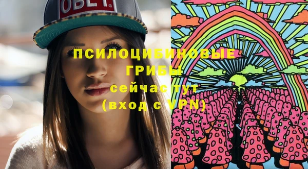 дурь Аркадак