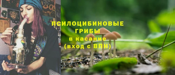 а пвп мука Алзамай