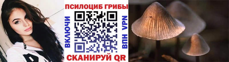 наркошоп  blacksprut онион  Галлюциногенные грибы GOLDEN TEACHER  Пушкино 