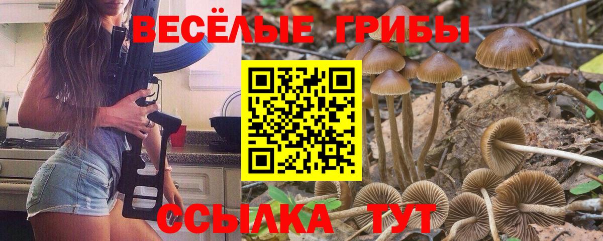 Псилоцибиновые грибы Psilocybine cubensis  Вход с VPN  Галлюциногенные грибы Psilocybe  Пушкино 