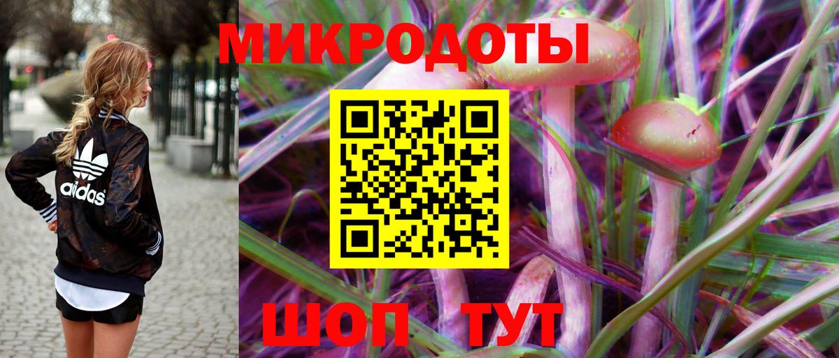 Псилоцибиновые грибы Psilocybe Пушкино